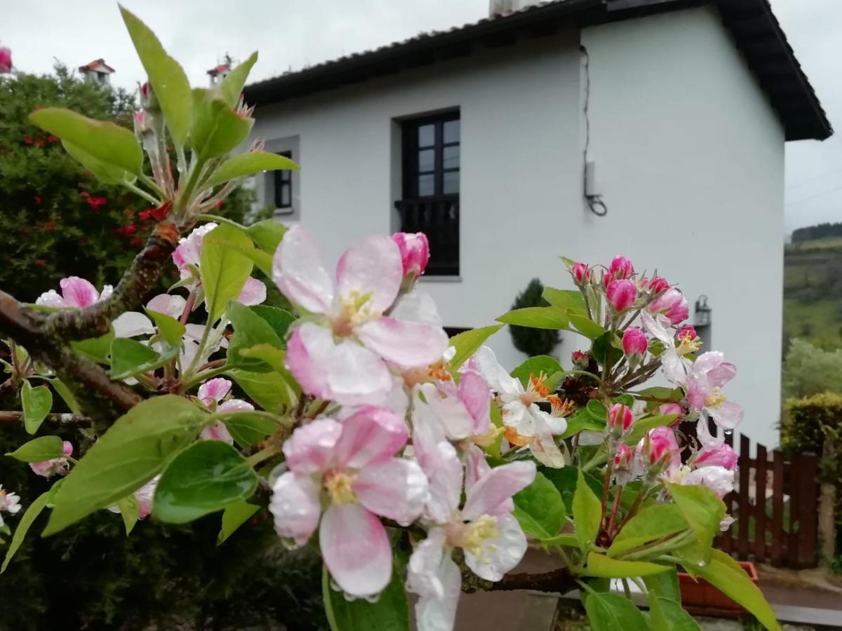 El Oteru I Guest House Villaviciosa  Luaran gambar