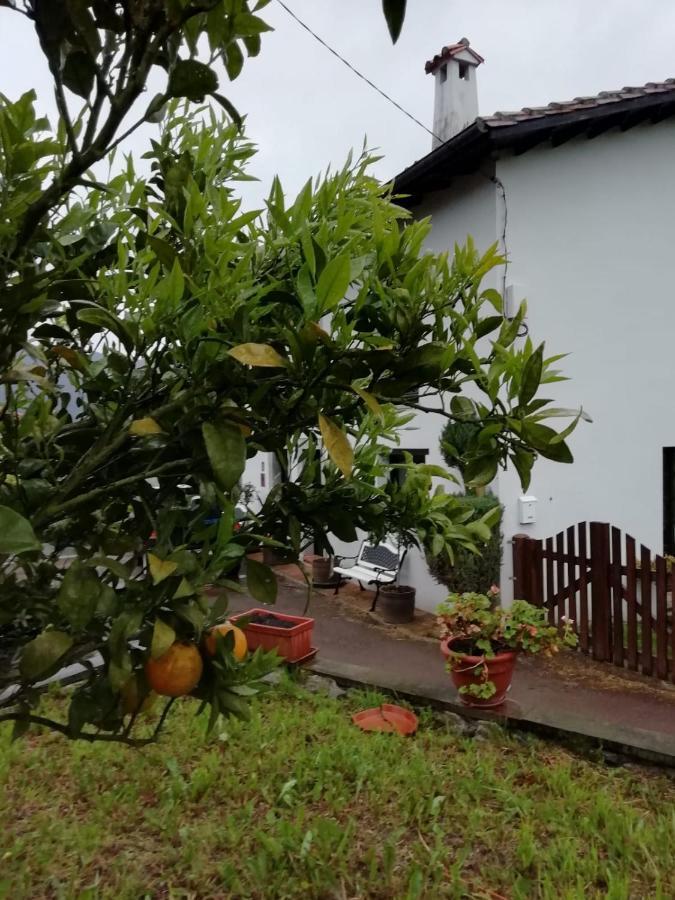 El Oteru I Guest House Villaviciosa  Luaran gambar